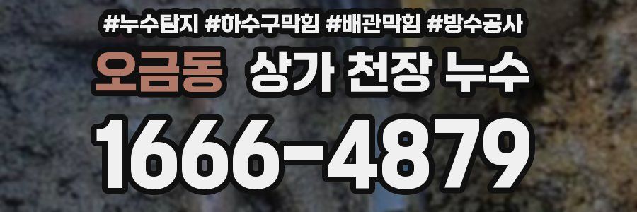 오금동 상가 천장 누수