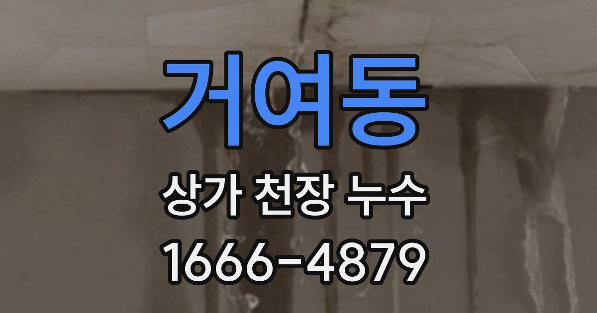 거여동 상가 천장 누수