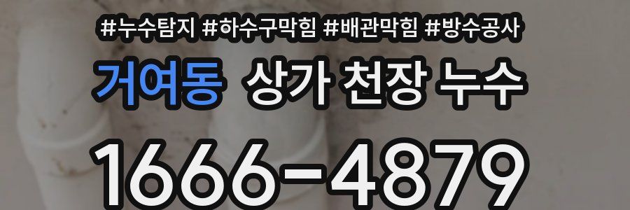 거여동 상가 천장 누수
