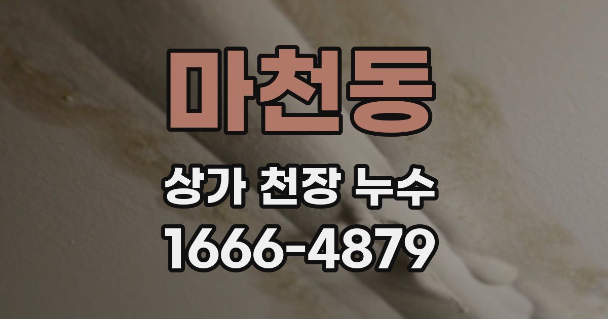 마천동 상가 천장 누수