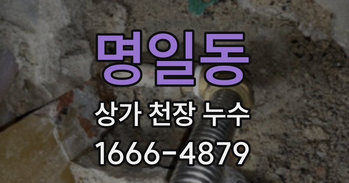 명일동 상가 천장 누수