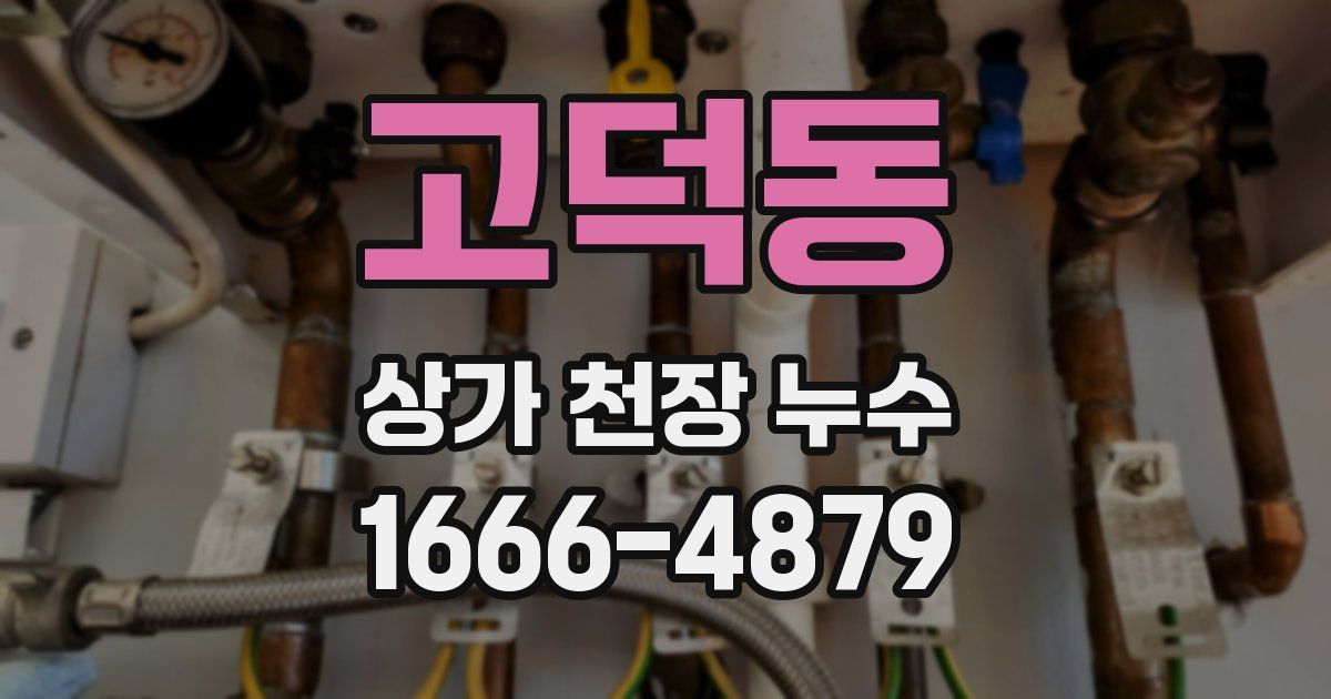 고덕동 상가 천장 누수