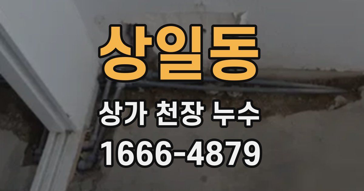 상일동 상가 천장 누수