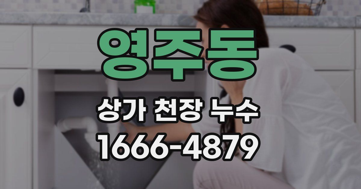 영주동 상가 천장 누수