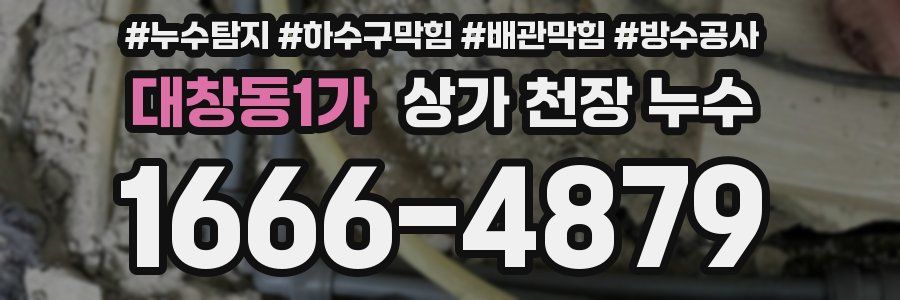 대창동1가 상가 천장 누수