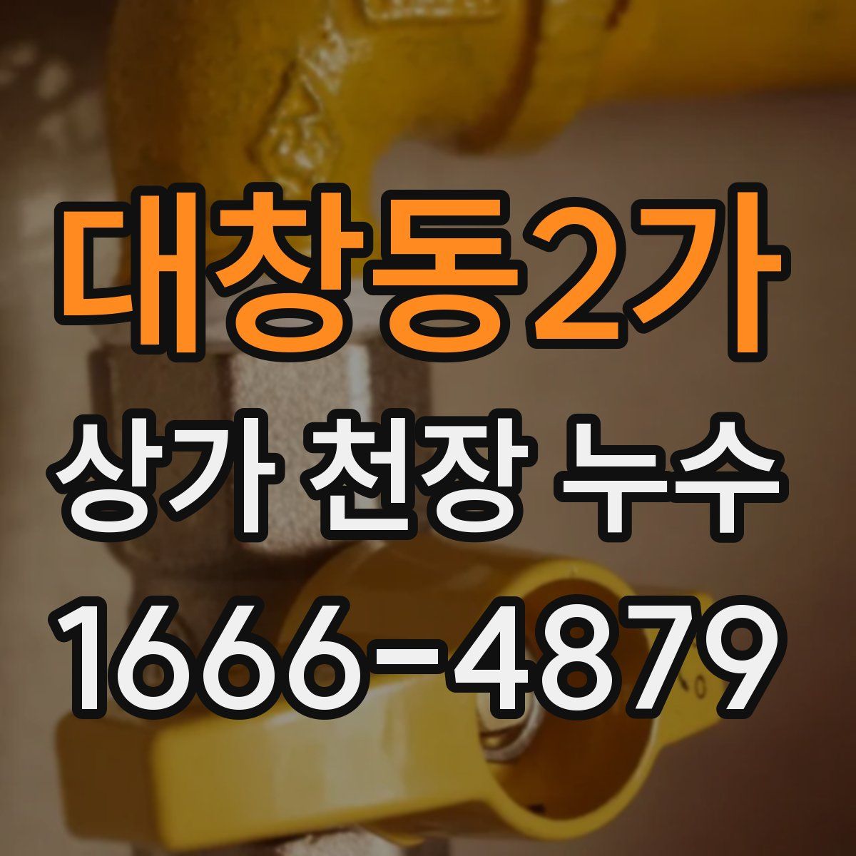 대창동2가 상가 천장 누수