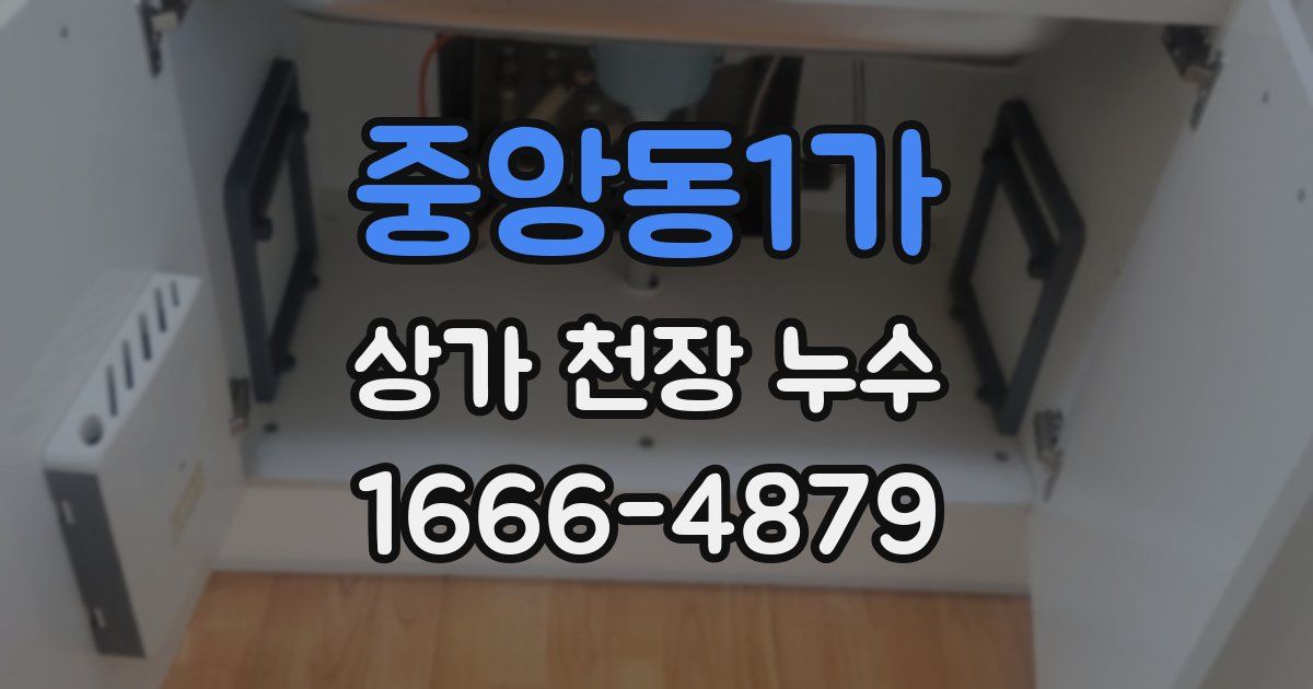 중앙동1가 상가 천장 누수