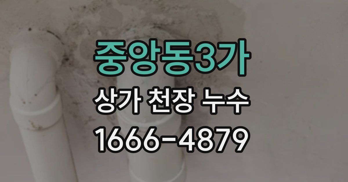 중앙동3가 상가 천장 누수