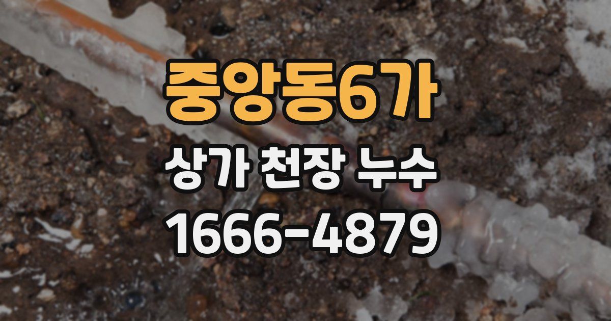 중앙동6가 상가 천장 누수
