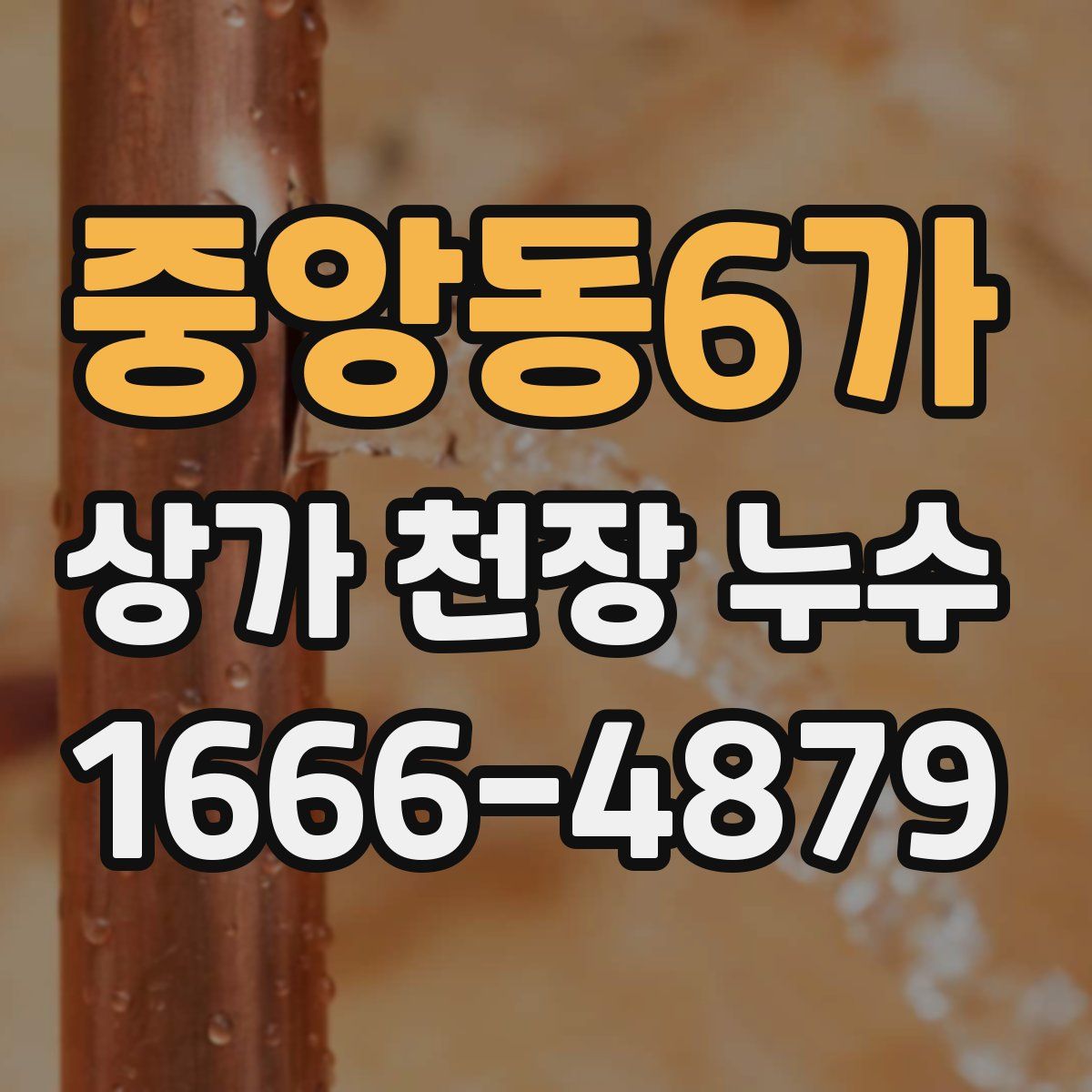 중앙동6가 상가 천장 누수