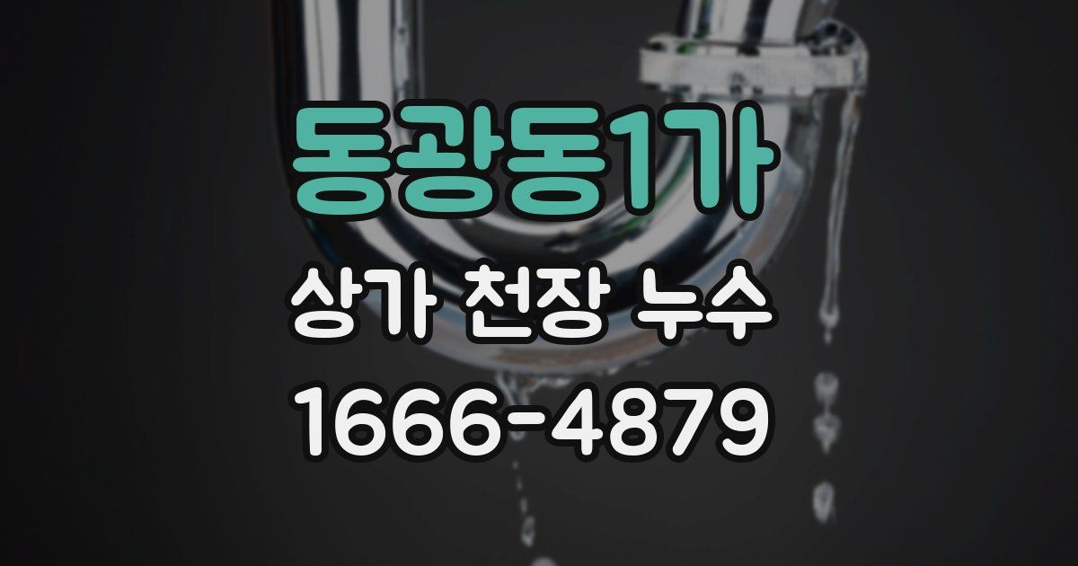 동광동1가 상가 천장 누수