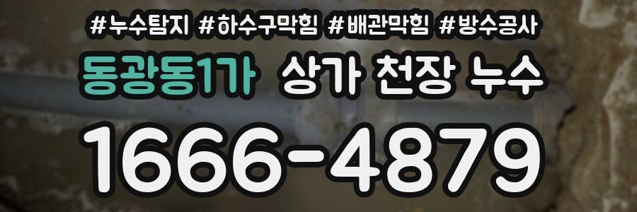 동광동1가 상가 천장 누수