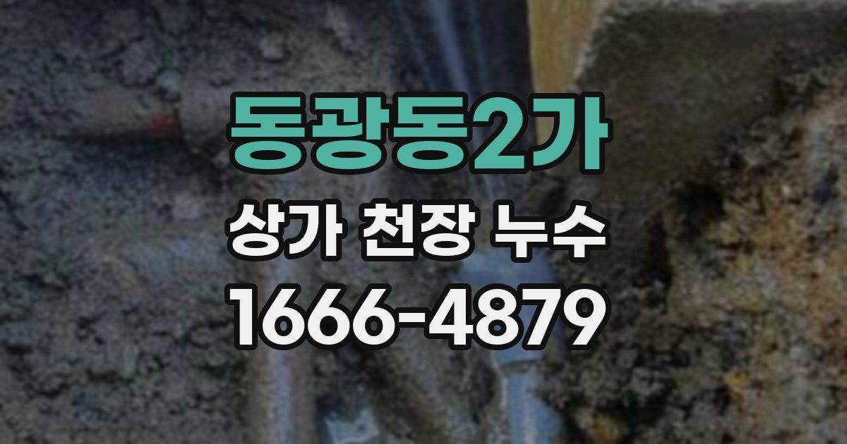 동광동2가 상가 천장 누수