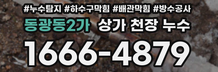 동광동2가 상가 천장 누수