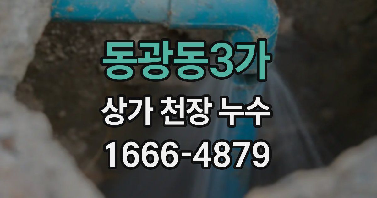 동광동3가 상가 천장 누수