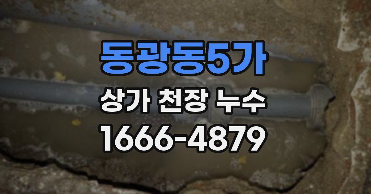 동광동5가 상가 천장 누수