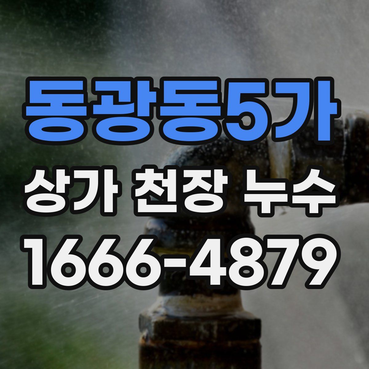 동광동5가 상가 천장 누수