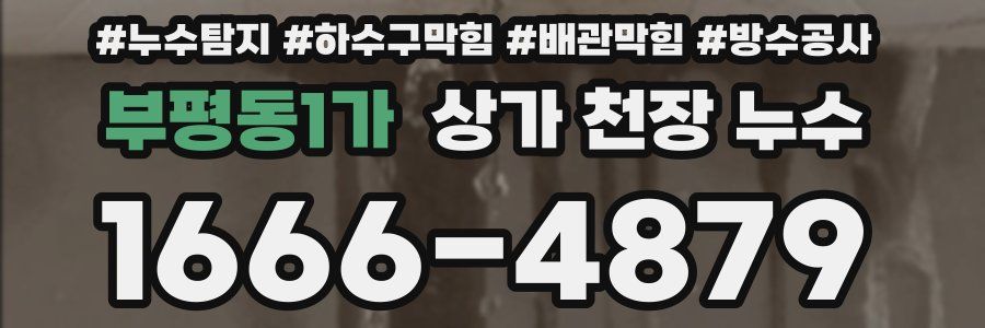 부평동1가 상가 천장 누수