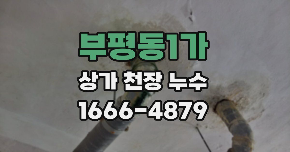 부평동1가 상가 천장 누수