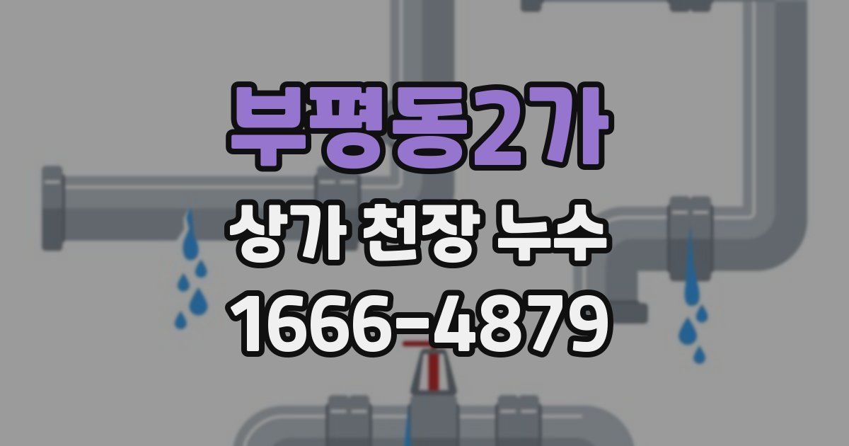 부평동2가 상가 천장 누수
