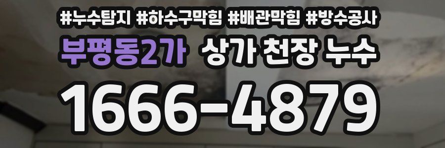 부평동2가 상가 천장 누수