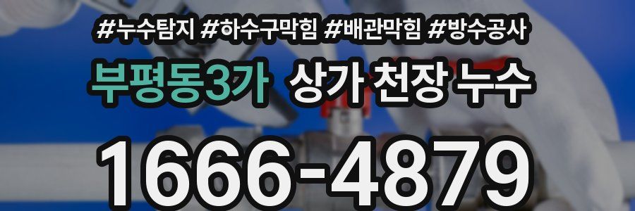 부평동3가 상가 천장 누수