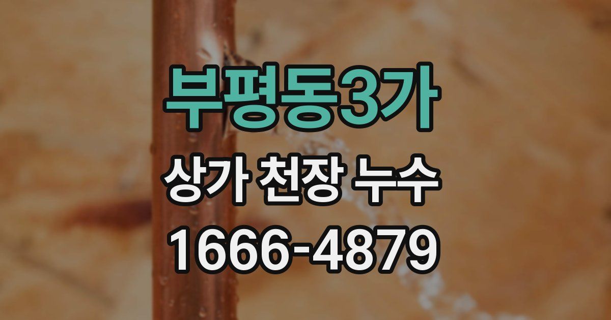 부평동3가 상가 천장 누수