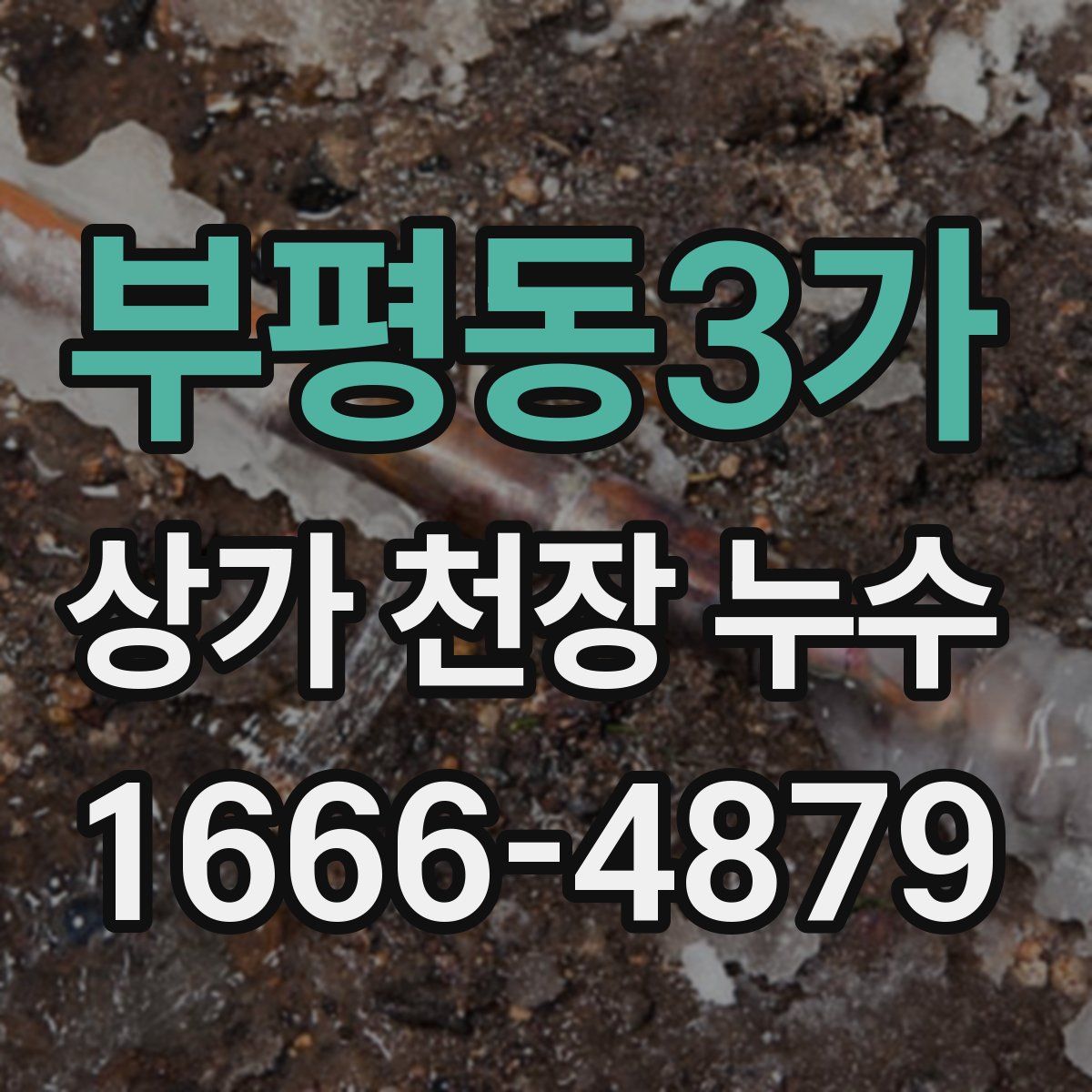 부평동3가 상가 천장 누수