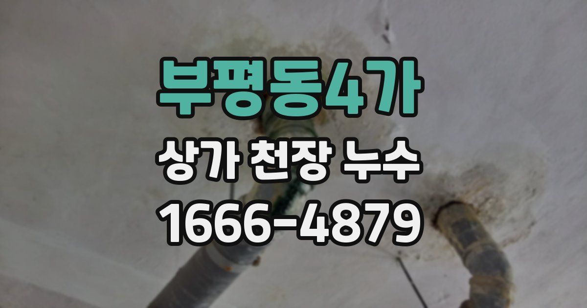 부평동4가 상가 천장 누수