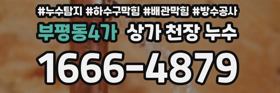 부평동4가 상가 천장 누수