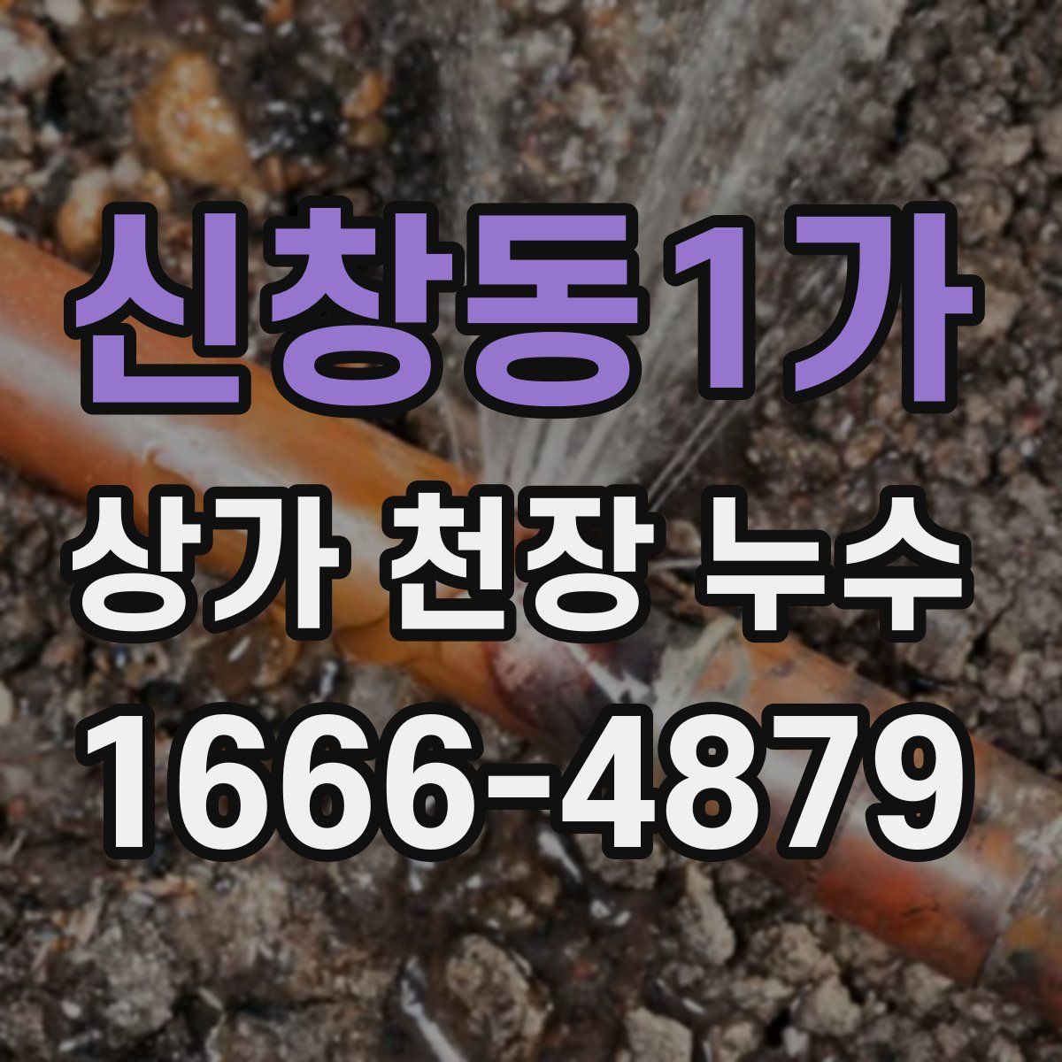 신창동1가 상가 천장 누수