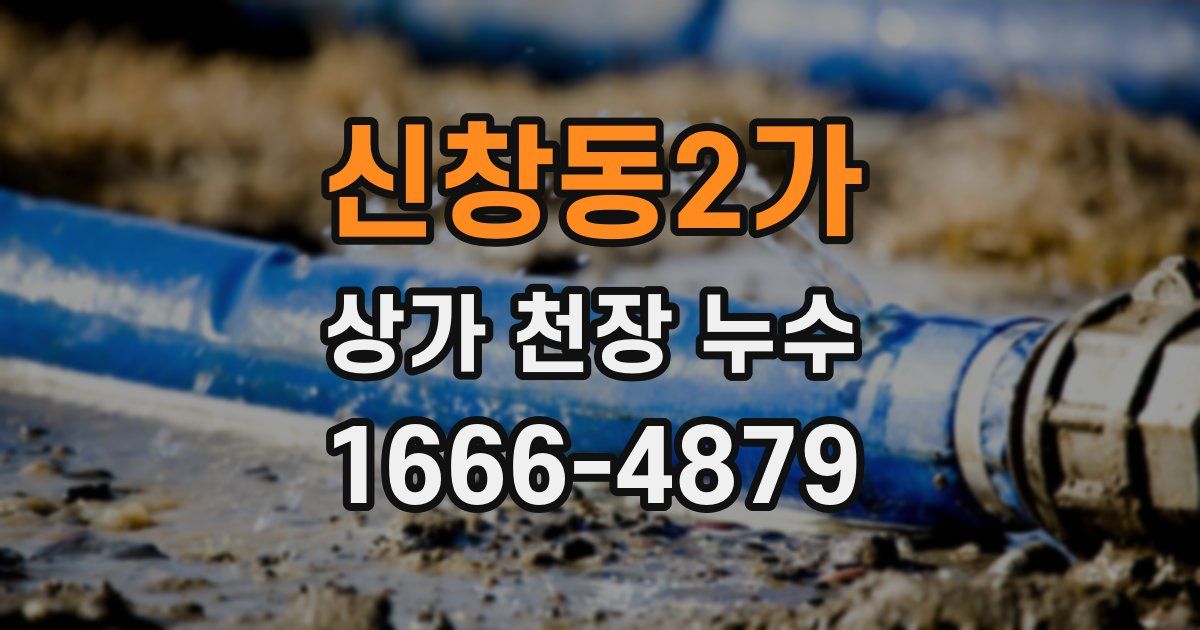신창동2가 상가 천장 누수