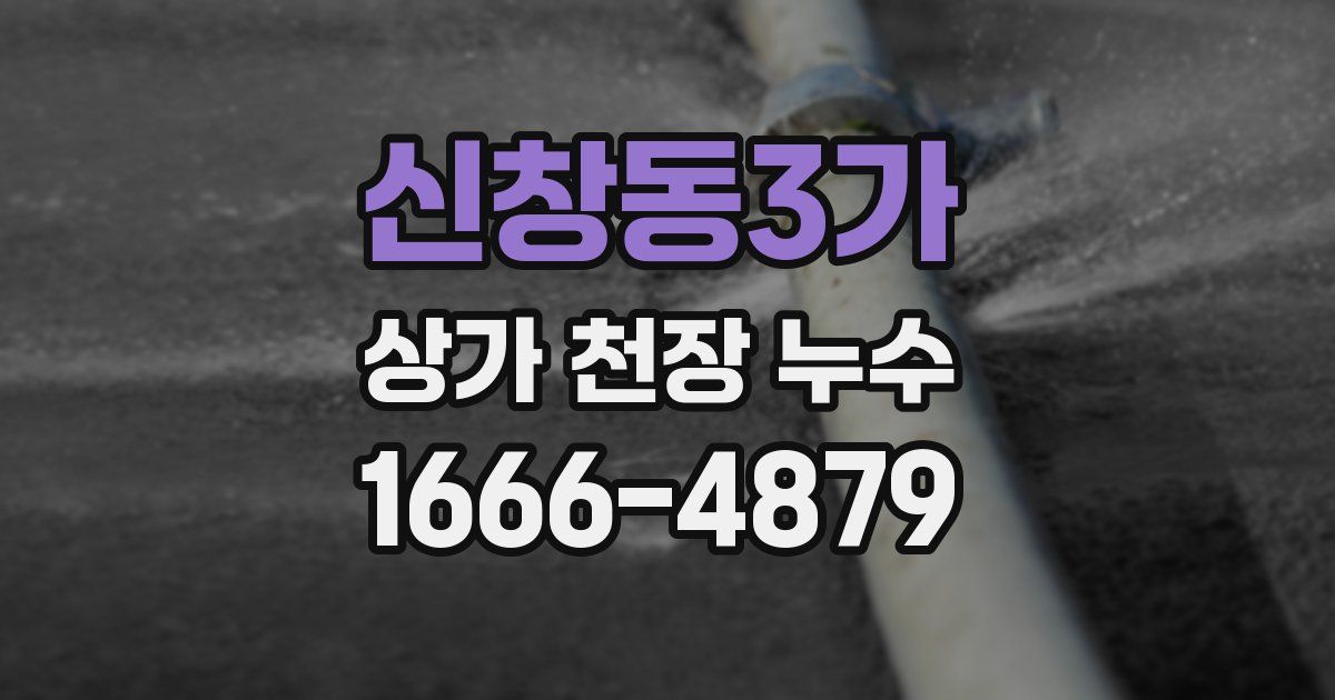신창동3가 상가 천장 누수