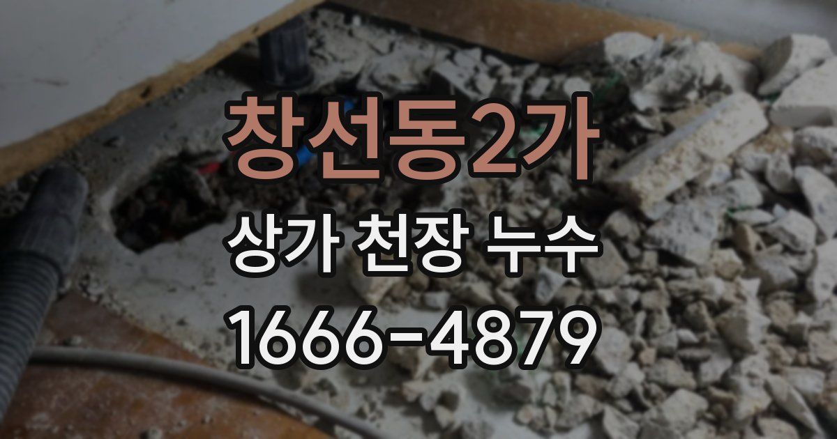 창선동2가 상가 천장 누수