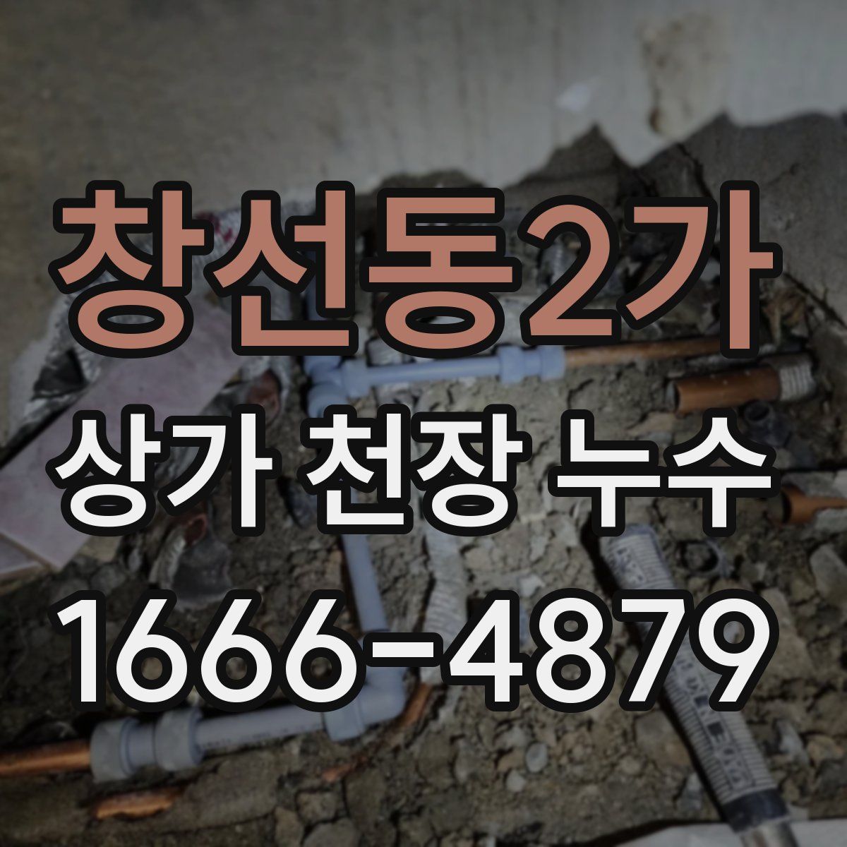 창선동2가 상가 천장 누수