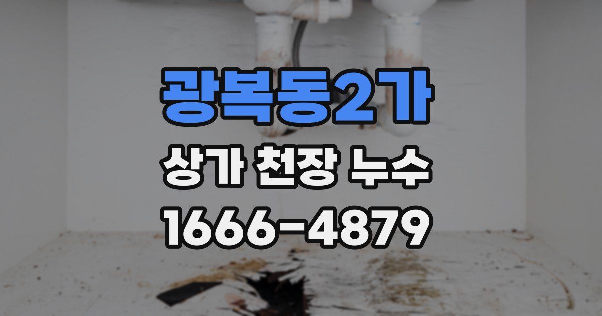 광복동2가 상가 천장 누수