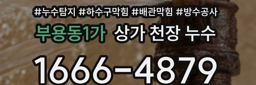 부용동1가 상가 천장 누수