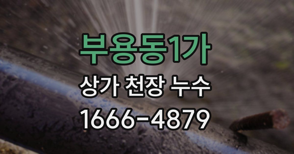부용동1가 상가 천장 누수
