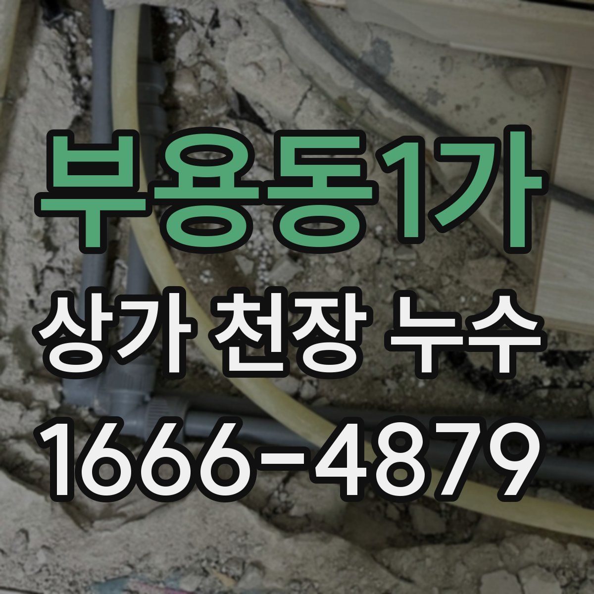 부용동1가 상가 천장 누수