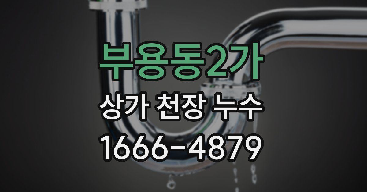 부용동2가 상가 천장 누수