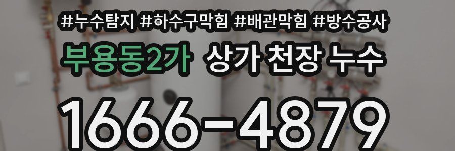 부용동2가 상가 천장 누수