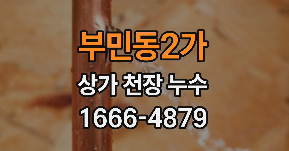 부민동2가 상가 천장 누수