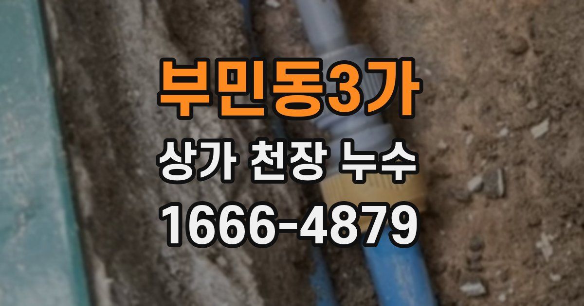 부민동3가 상가 천장 누수