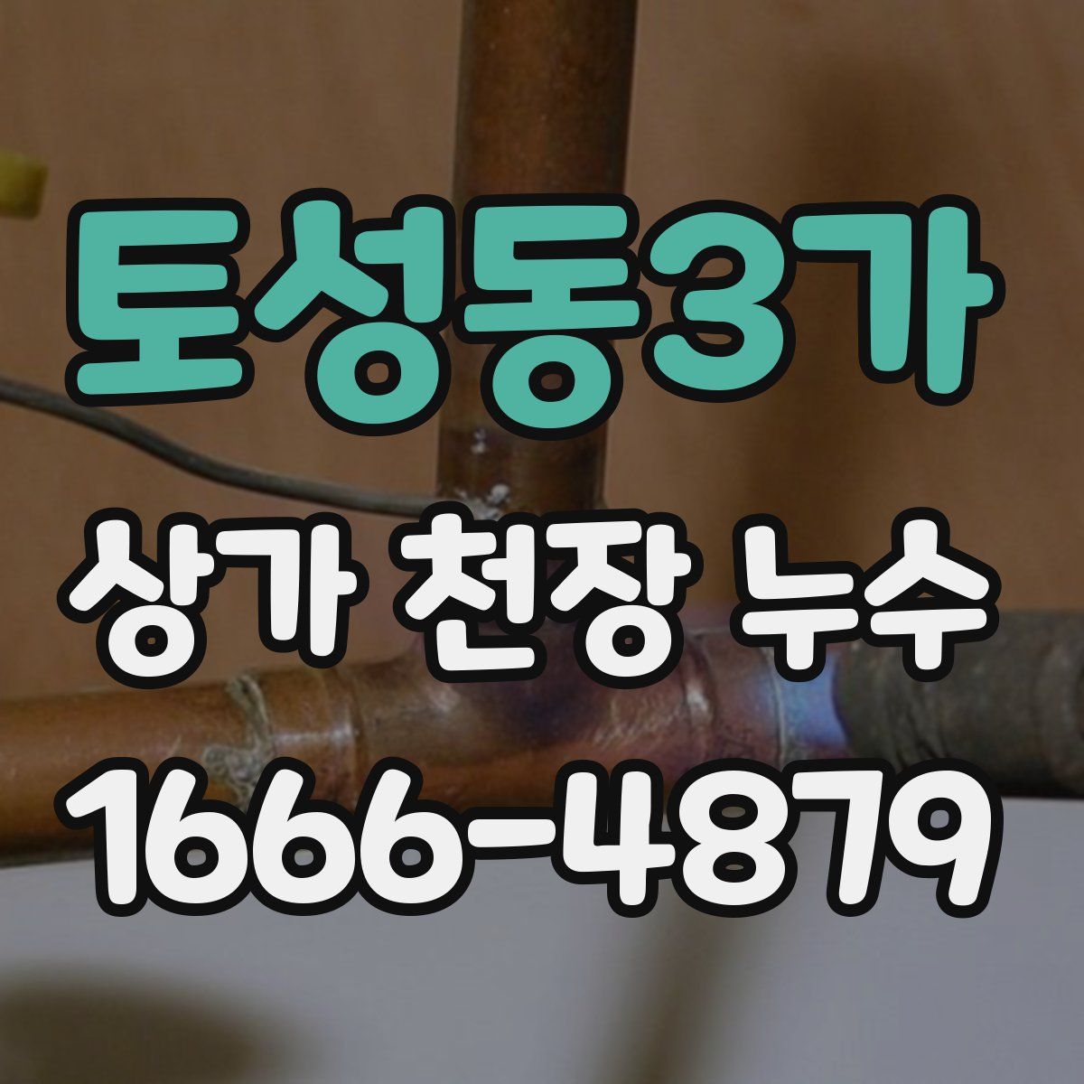 토성동3가 상가 천장 누수
