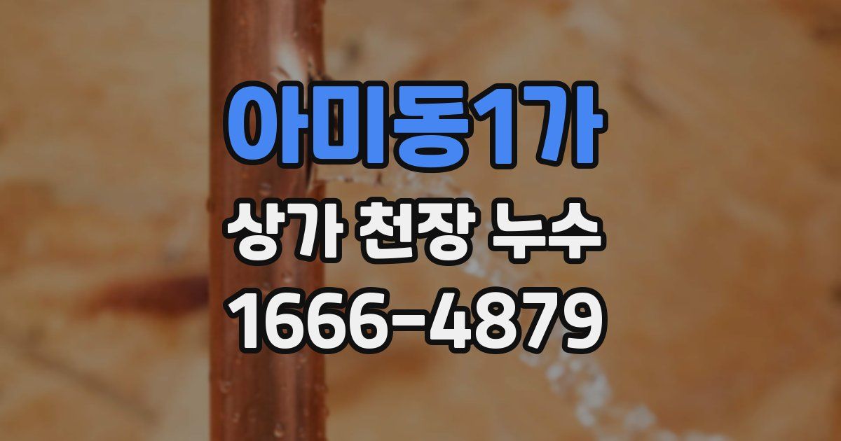 아미동1가 상가 천장 누수