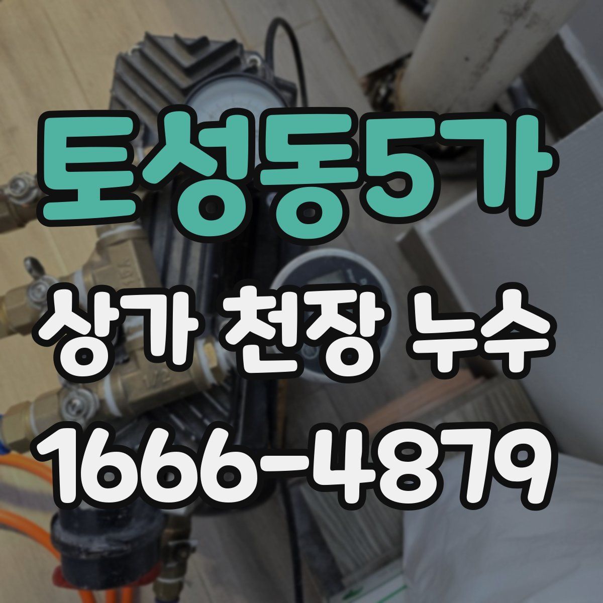 토성동5가 상가 천장 누수