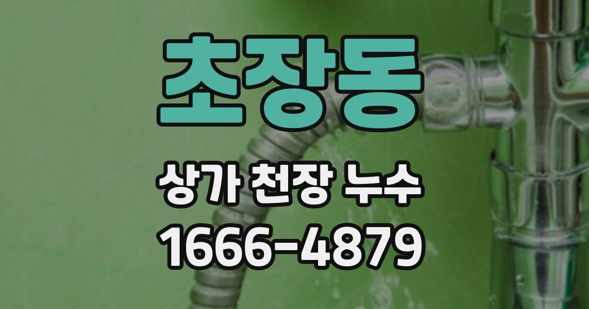 초장동 상가 천장 누수