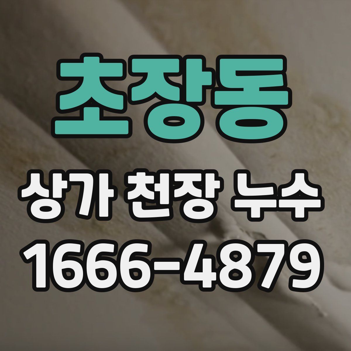 초장동 상가 천장 누수
