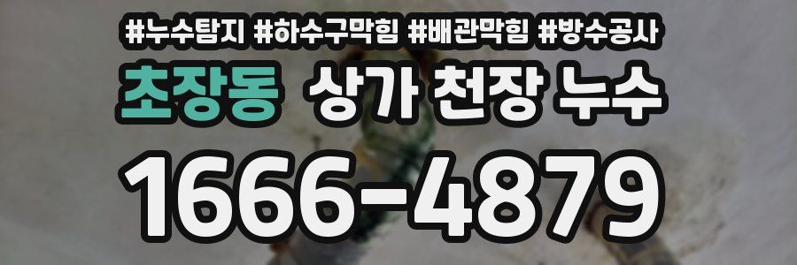 초장동 상가 천장 누수