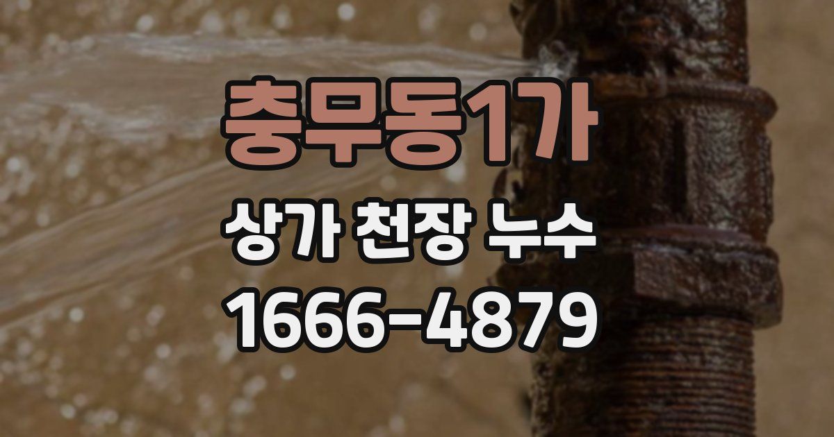 충무동1가 상가 천장 누수